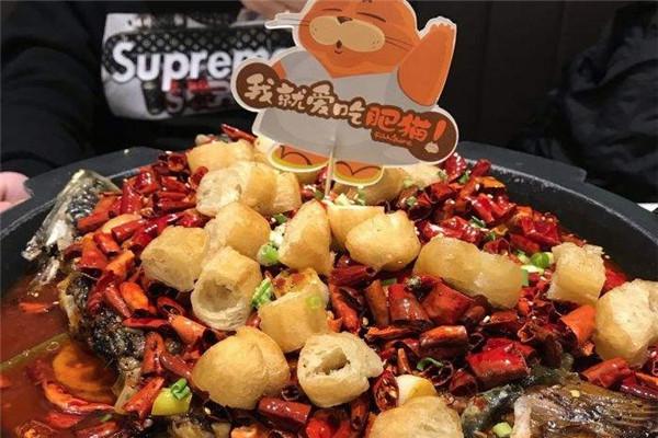 南锣肥猫烤鱼