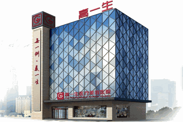 高一生