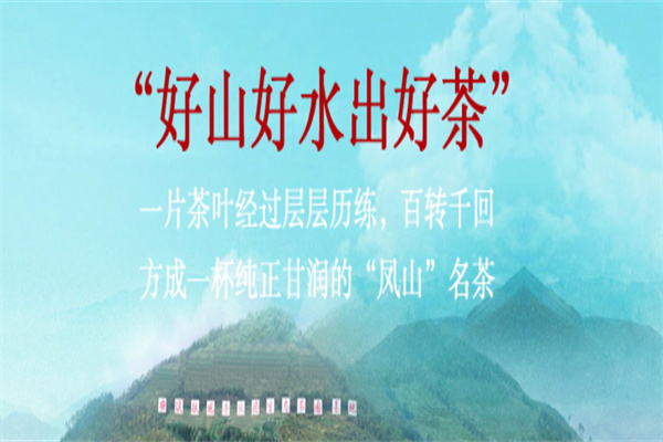 安溪铁观音产品 门店图片