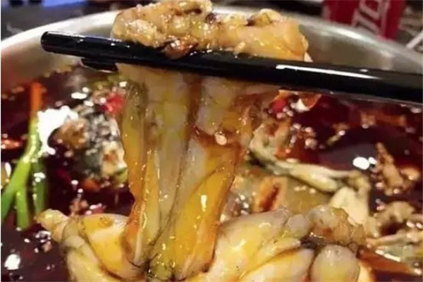 鼎味美蛙鱼头火锅