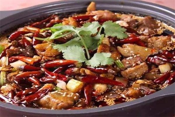 肥肠爱上鸡
