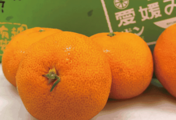 果又多水果店