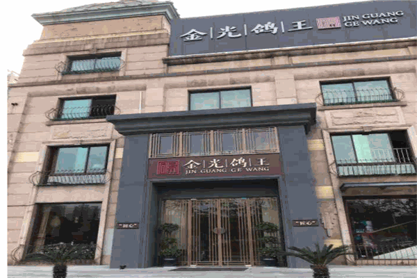 金光鸽王