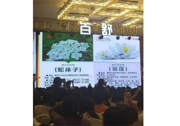 百舒国际