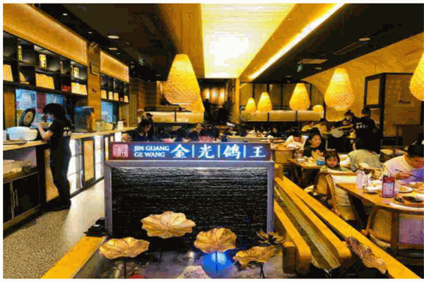 金光鸽王