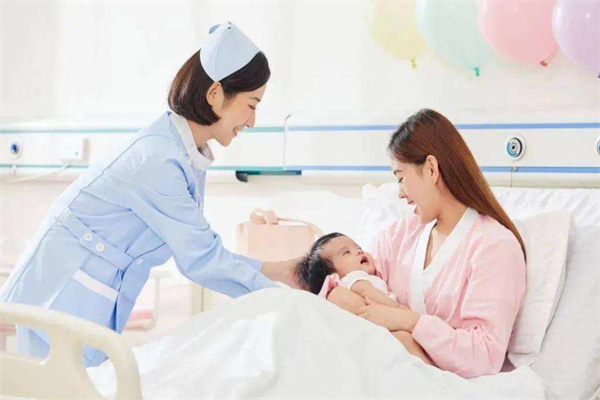 金燕子产后