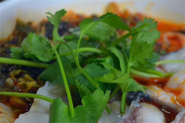 黑电鱼粉产品 门店图片