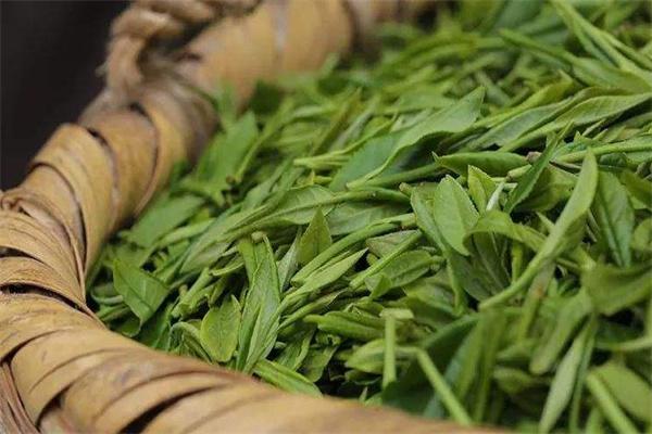 徽茶产品 门店图片