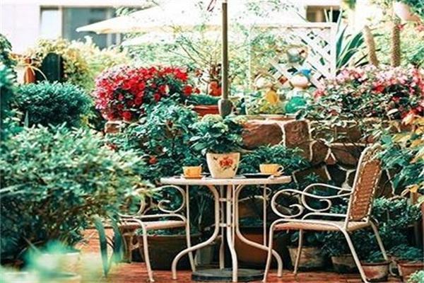空中水果花园产品 门店图片