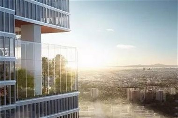 空中森林产品 门店图片