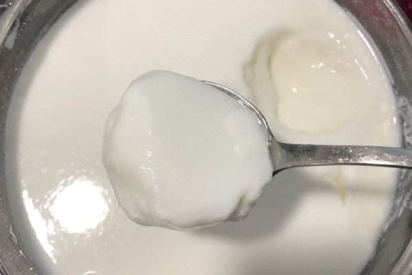 吉克士酸奶吧产品 门店图片