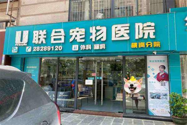 联合宠物医院产品 门店图片