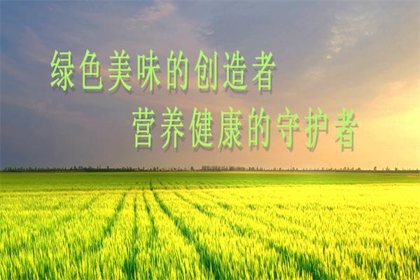 百成鲜食早餐产品 门店图片