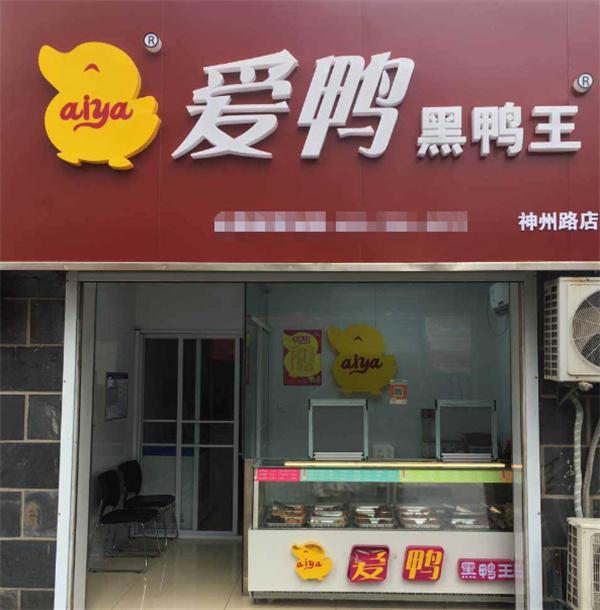 爱鸭黑鸭王