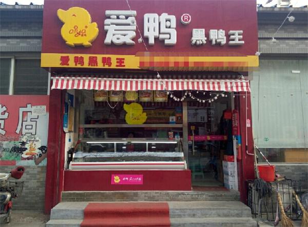 爱鸭黑鸭王