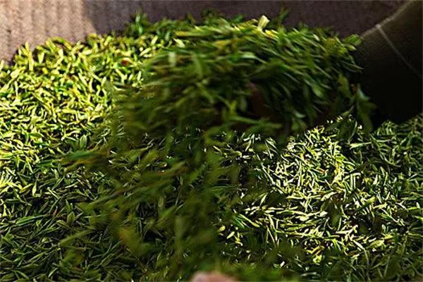 龙井茶茶饮产品 门店图片