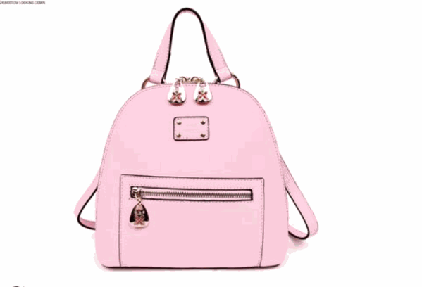 雷洛斯天使女包产品 门店图片