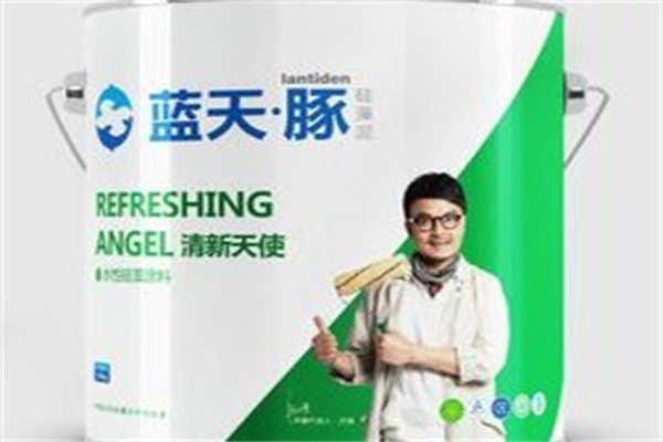 蓝天豚硅藻泥产品 门店图片