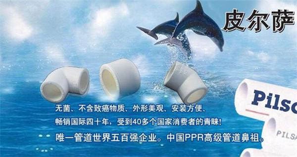 皮尔萨水管