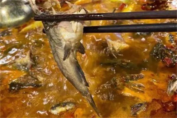 苗苗鱼产品 门店图片