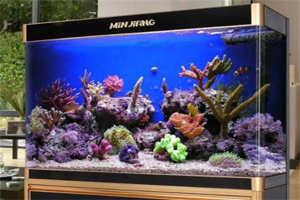 闽江水族产品 门店图片