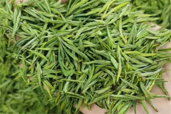 茗阳产品 门店图片