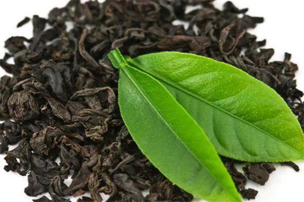 茗阳产品 门店图片