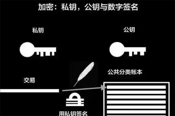 绿安产品 门店图片