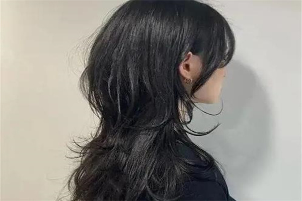 麦丝隆黑发王