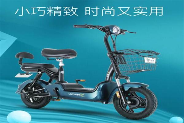 绿源电动自行车产品 门店图片
