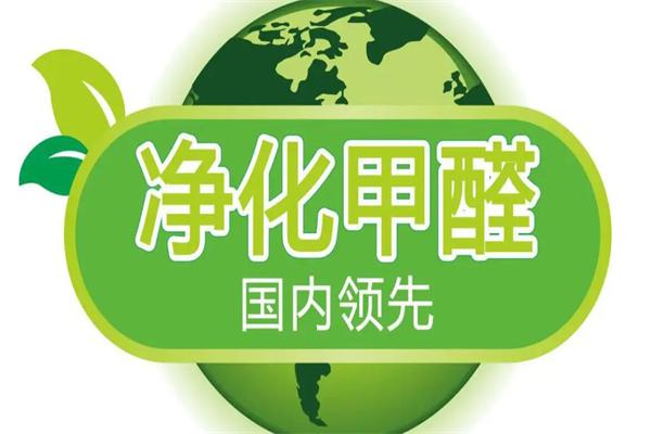 绿健能除甲醛产品 门店图片