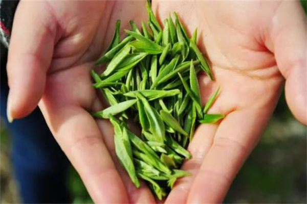 三江茶叶产品 门店图片