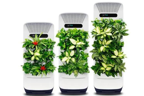 森境智能植物净化器产品 门店图片