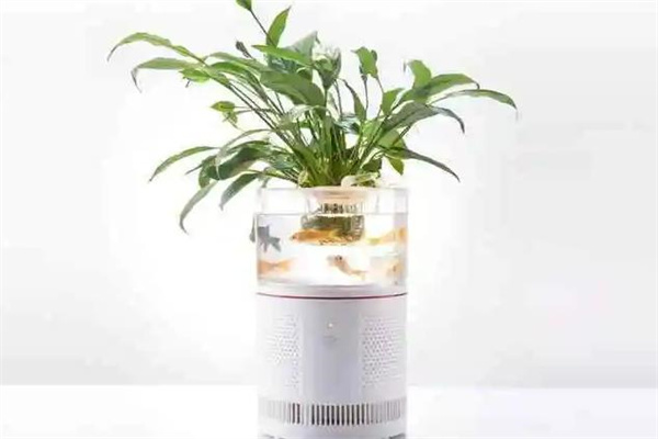 森境智能植物净化器产品 门店图片