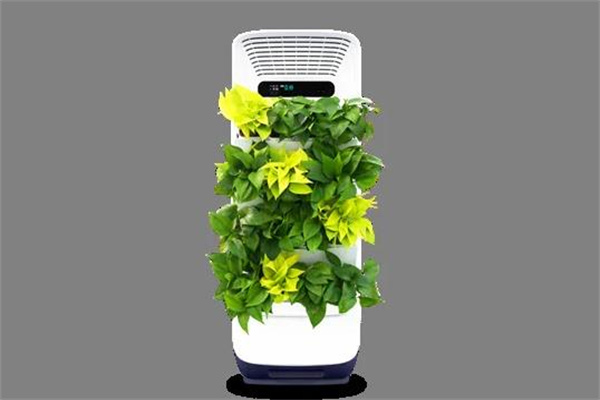森境智能植物净化器产品 门店图片
