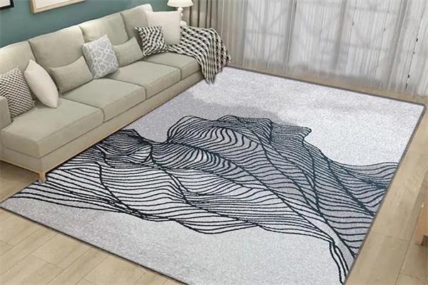 沙龙地毯产品 门店图片