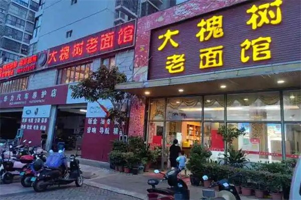 大槐树面馆加盟