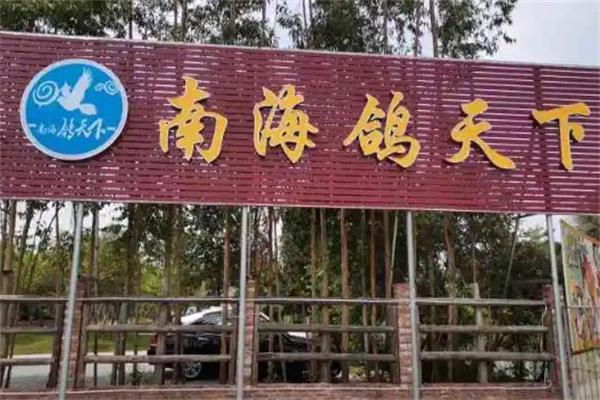 南海鸽天下产品 门店图片