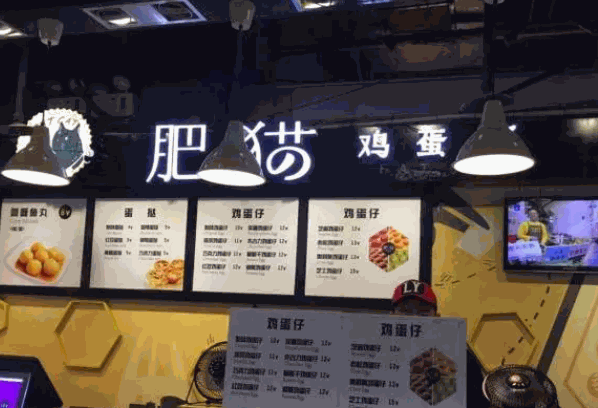 肥猫鸡蛋仔