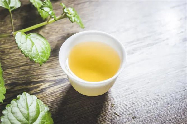 东莞茶找佳人
