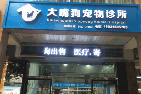 大嘴狗宠物店