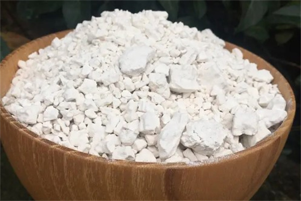 食得福地瓜粉产品 门店图片
