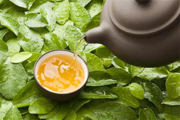 腾临茶叶产品 门店图片