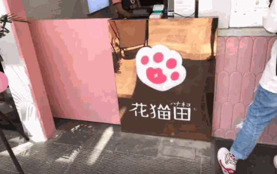 花猫田奶茶