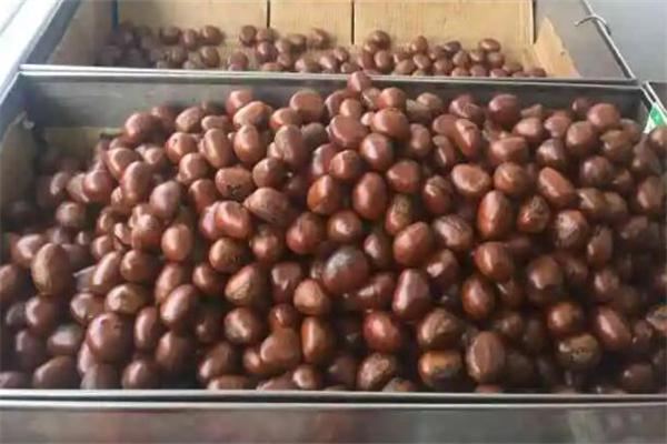 顺起栗子产品 门店图片