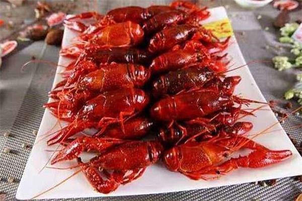 堕落虾