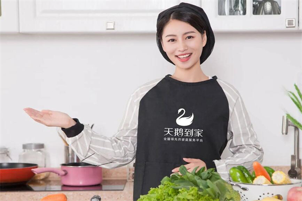 天鹅到家