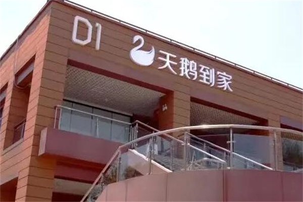 天鹅到家