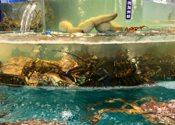 开个鲜活海鲜水产店大概多少钱？怎么