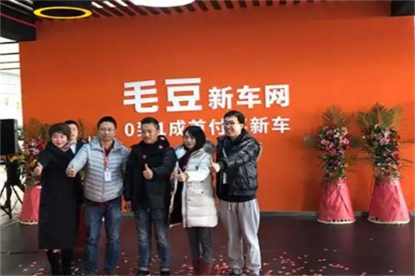 毛豆新车网